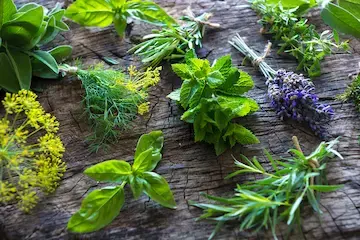 Valuable herbs recipe for depression: most common worldwide