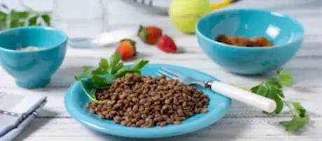 Valuable 04-best vet approved homemade cat food recipe